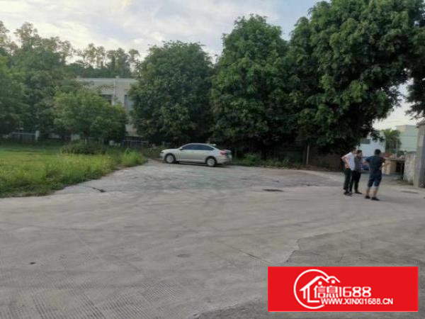 原业主房东出租石岩水田厂房，空地大，1150平，租19元