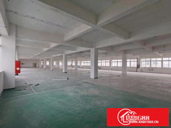 龙华大浪华霆路旁，花园式园区，交通便利，停车位充足，超大空地