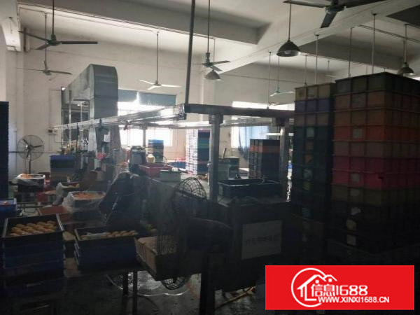 清溪汽车站旁边新出可喷油厂房400平