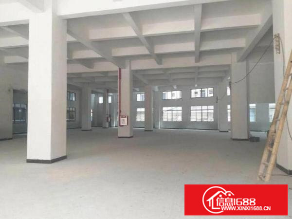 （带装修）3600平米厂房在常平土塘独院招租