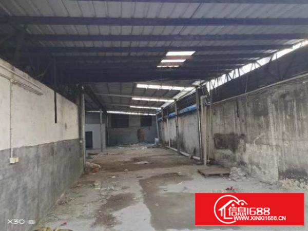 新出一楼独木独院钢构厂房