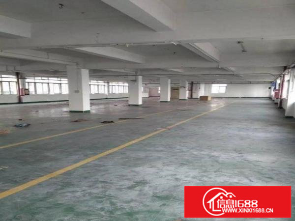 原业厂房直接出租3600平方急租