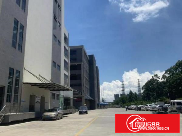 万江大型产业园厂房出租