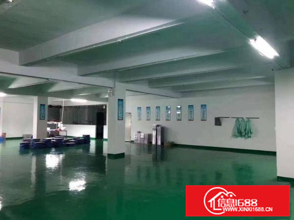 清溪新出标准厂房可做电池398平豪华精装修办公室出租