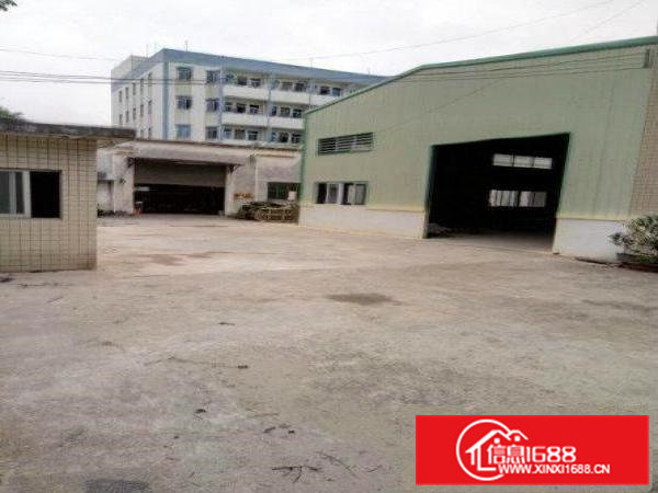 桥头镇岗头村独院厂房招租，车间1400平，滴水7米