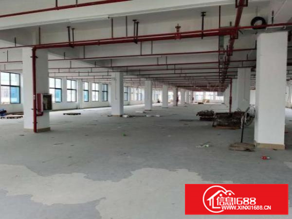 红本厂房直租，可分割