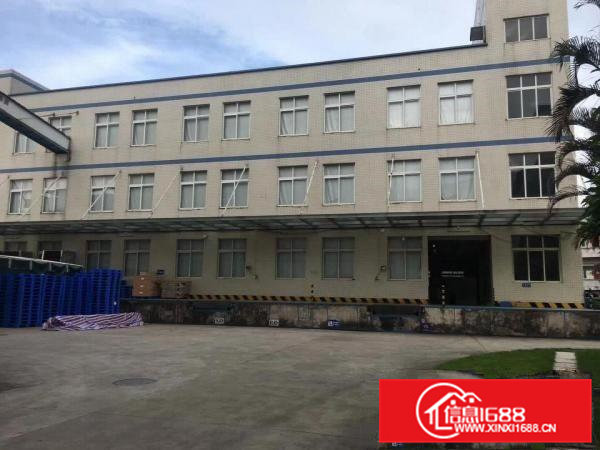 常平独门独院三层厂房3300平急租