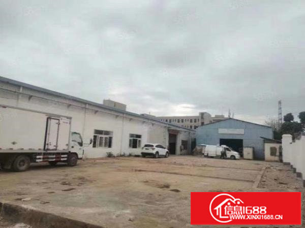 观澜新出可做废品打包场地独院钢构中间没柱子