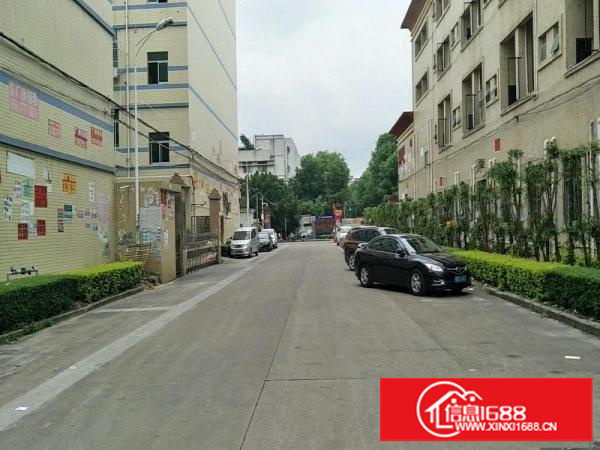 龙岗坪地厂房独门独院院内空间大可做电子研发设备等