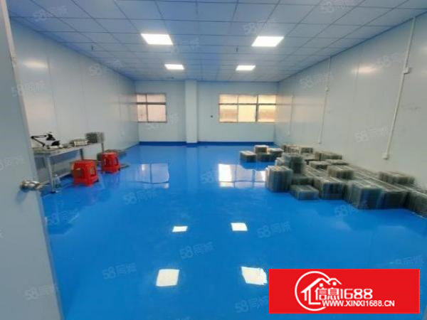 塘厦清湖头超靓标准厂房出租，600平精装修现成主线到车间