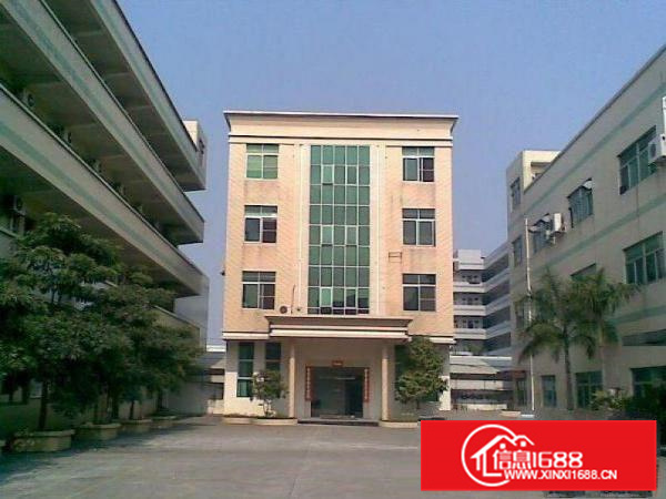 惠城水口标准红本独院厂房11500平米出租（可分租）