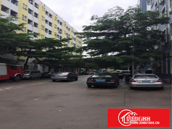 民治油松工业区460，620，1800平带装修厂房