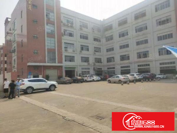 凤岗五联一楼560平厂房出租现成行车地坪漆适合各种行业