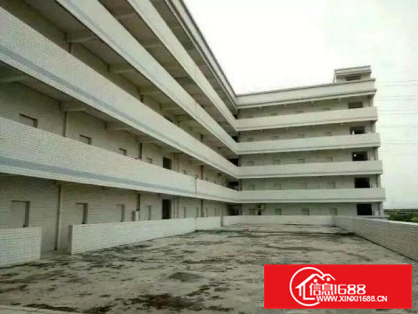 《靓》水口全新厂房1至3楼7300平米招租