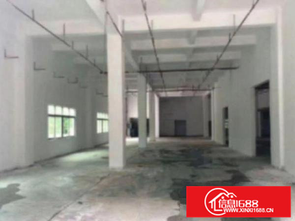 高埗标准一楼厂房1000或1500㎡出租