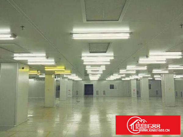 带现成无尘车间独门独院厂房招租