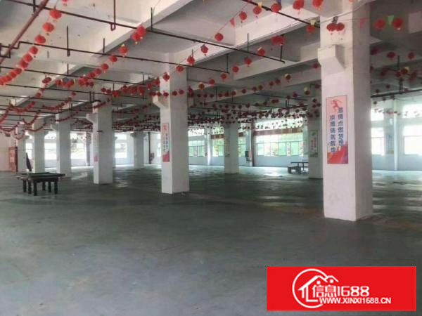 新圩高速出口红本厂房2-4层每层4500平出租分租