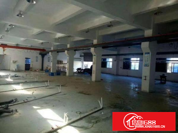 凤岗官井头6米高一楼厂房出租1000平近大运城邦