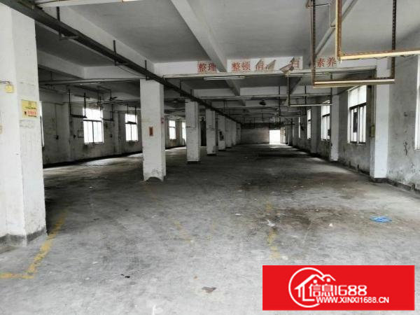 龙岗独院分层租厂房有电梯
