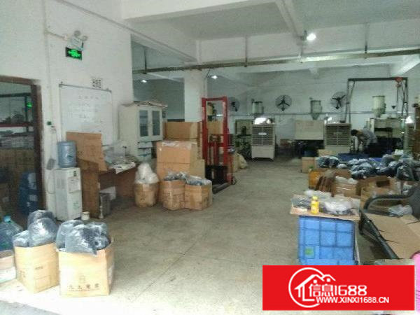 坪山马峦街道新出原房东一楼377平标准厂房招商