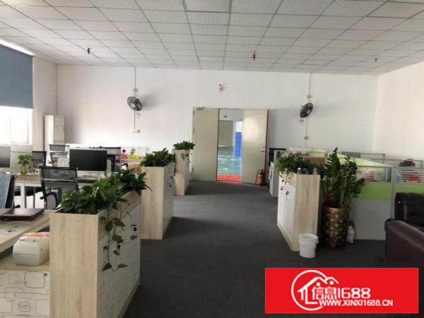 坂田上雪科技园楼上200.300.500平1350平出租