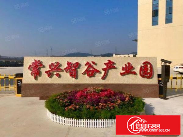 房东直租全新带消防喷淋卸货平台空地大厂房