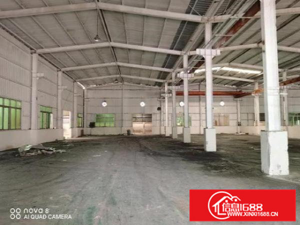 大朗镇独门独院单一层5500平方，滴水8米，带航车