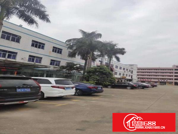 出租清溪镇清溪三中大面积钢构厂房租价低直8元每平