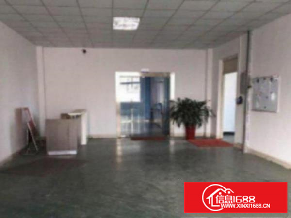 高埗带现成装修标准一楼800或1000平方招租办公楼2层30