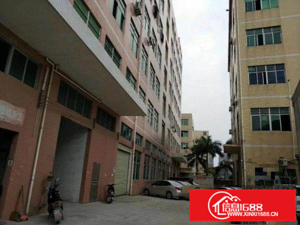 常平镇司马工业区新出二楼1200平方精装修厂房招租