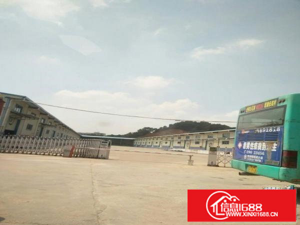 高新科技园一楼钢构2000平方出租