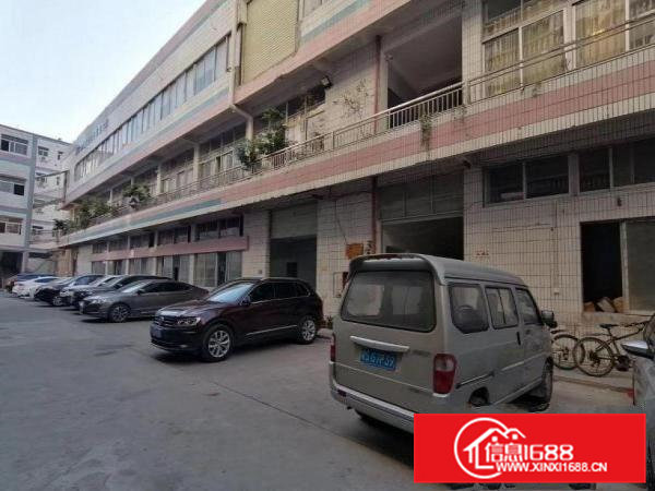 出租清溪镇振兴围新出楼上1500豪华装修水电齐全