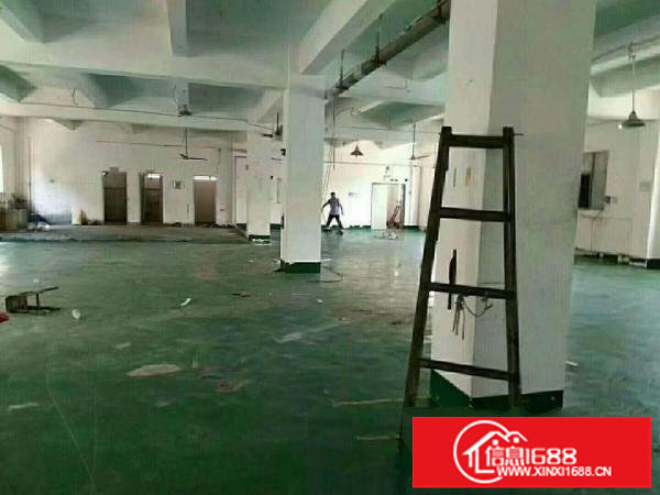 平湖标准精美小独院4300平招租（可分租）