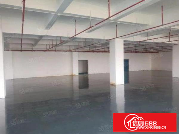 凤岗雁田独门独院厂房15000平大小分租