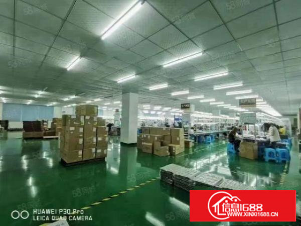 原房东二楼4050平,豪华装修厂房出租