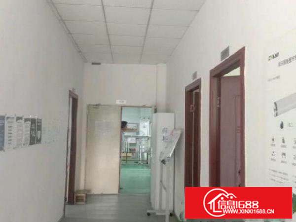 （出租）观澜福民电子诚附近1楼700平方带装修办公厂房出租