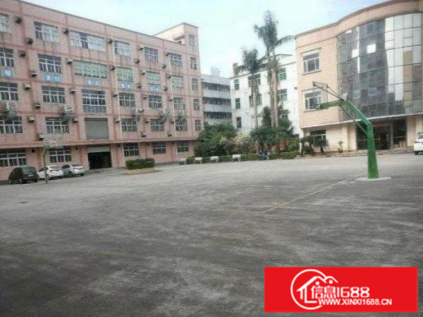 布吉原房东楼上1300平方精装修空地大厂房招租