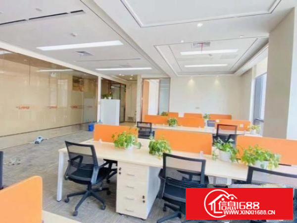 龙岗区永湖地铁口新出现成电商办公室360平方米招租