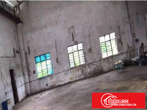 龙岗区坪地新出钢构独院厂房1000平方平价招租