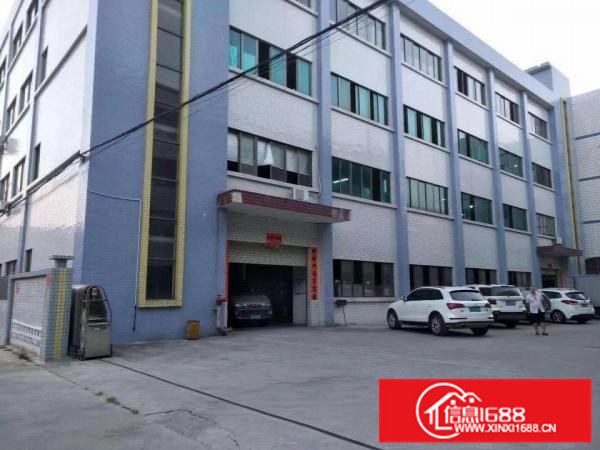 桥头大洲东部快速边标准厂房800平方带消防喷淋牛角