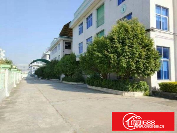 镇隆新出14000平独院标准厂房出租