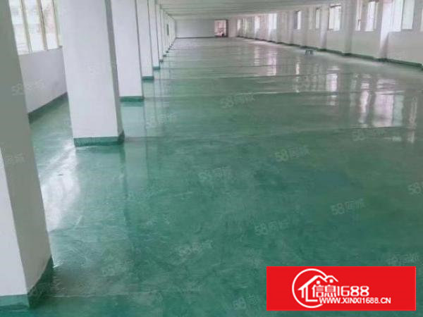 塘厦原房东小厂房出租