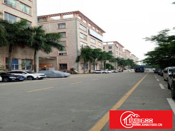 坪山新区坑梓原房东厂房二楼2300平米有红本