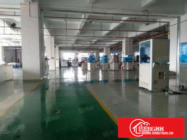 证件齐全带地坪漆桥头镇新出独院标准厂房1000平方出租