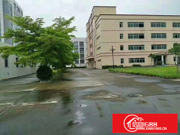 平湖华南城附近电商产业园5000平电商办公仓库急租