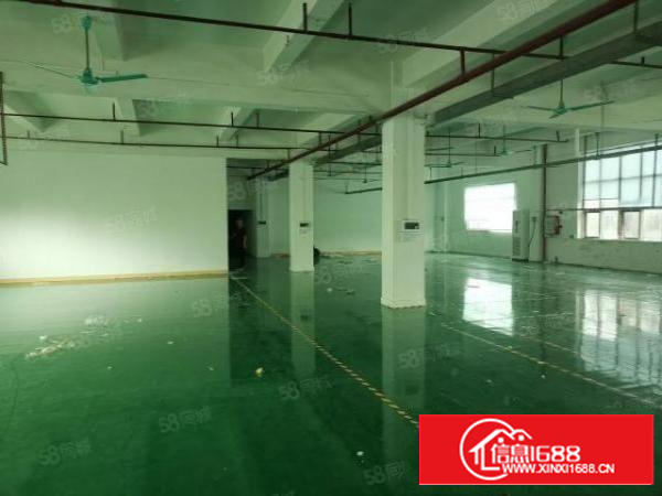 茶山镇横江工业区新出标准厂房一楼1500平租金15元