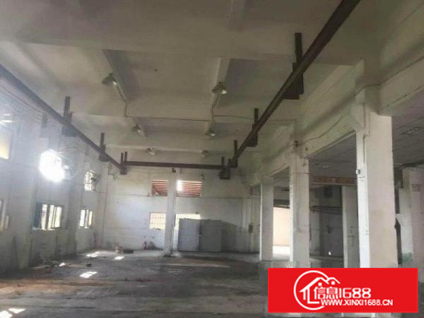 沥林原房东标准红本厂房2000平米出租（可分租）