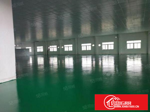 不拆迁带洗水设备，均安工业区2000方标准厂房带办公宿舍A