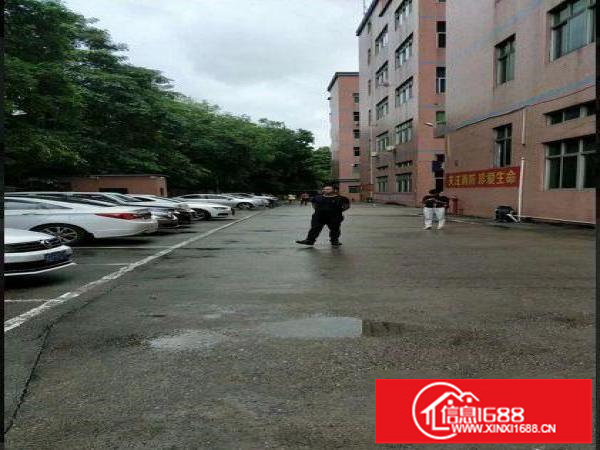 坂田一楼360平起分租，采光好，适合办公，电商