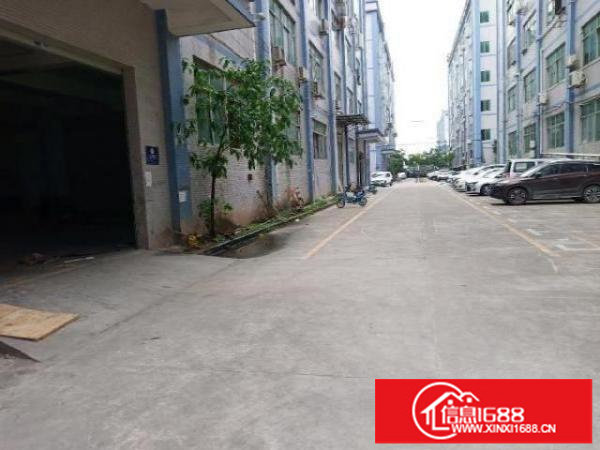 龙岗坂田上雪科技园空出带装修厂房1350平